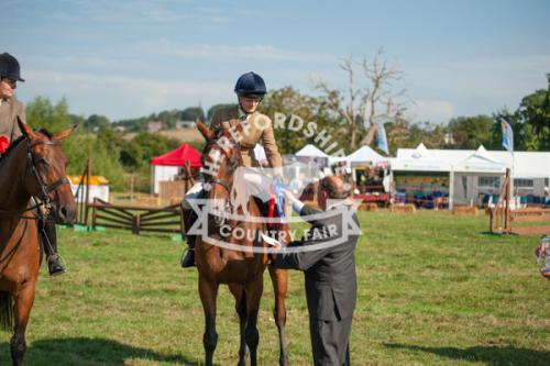 herefordshire_countryside_fair_lowRes-22